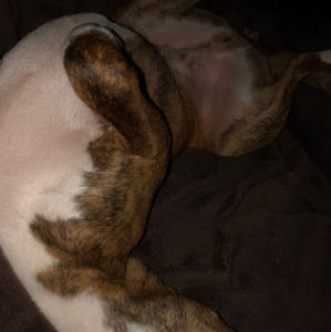 Meet your Posher, Jaden